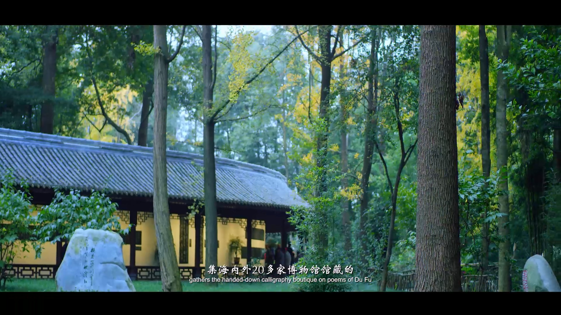 《杜甫千诗碑》纪录片 (8).jpg