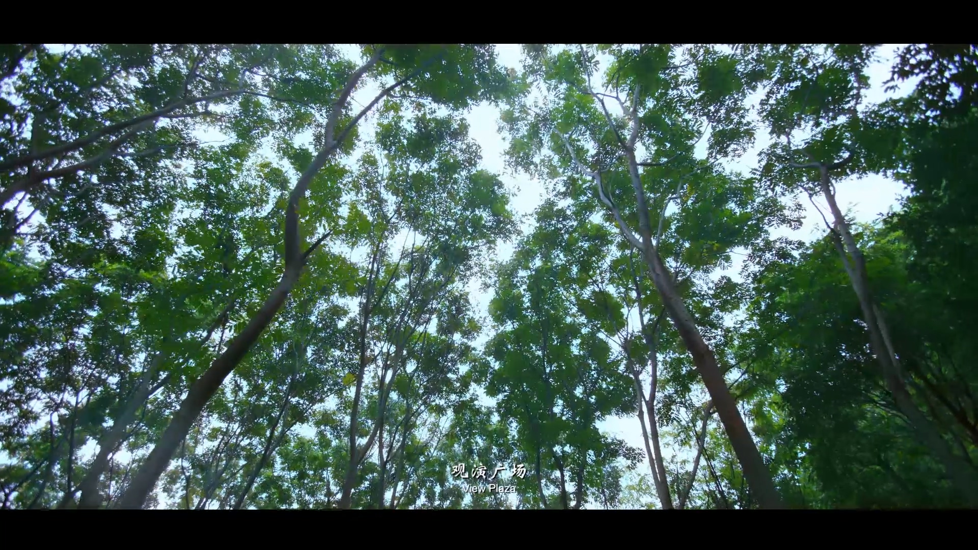 《杜甫千诗碑》纪录片 (12).jpg